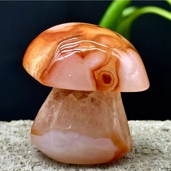 40G Natural Banded Silk Agate Mushroom Crystal Natural Gemstone Madagascar - Picture 7 of 13
